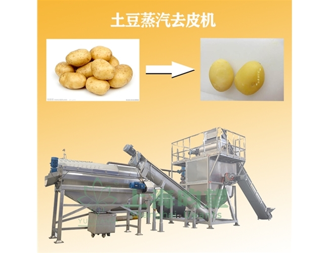 土豆蒸汽去皮機